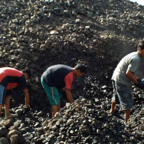 Tipan Sorting Operations 128